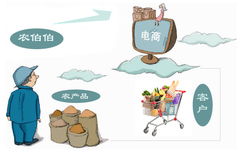 農產品電子商務經營模式創新與挑戰